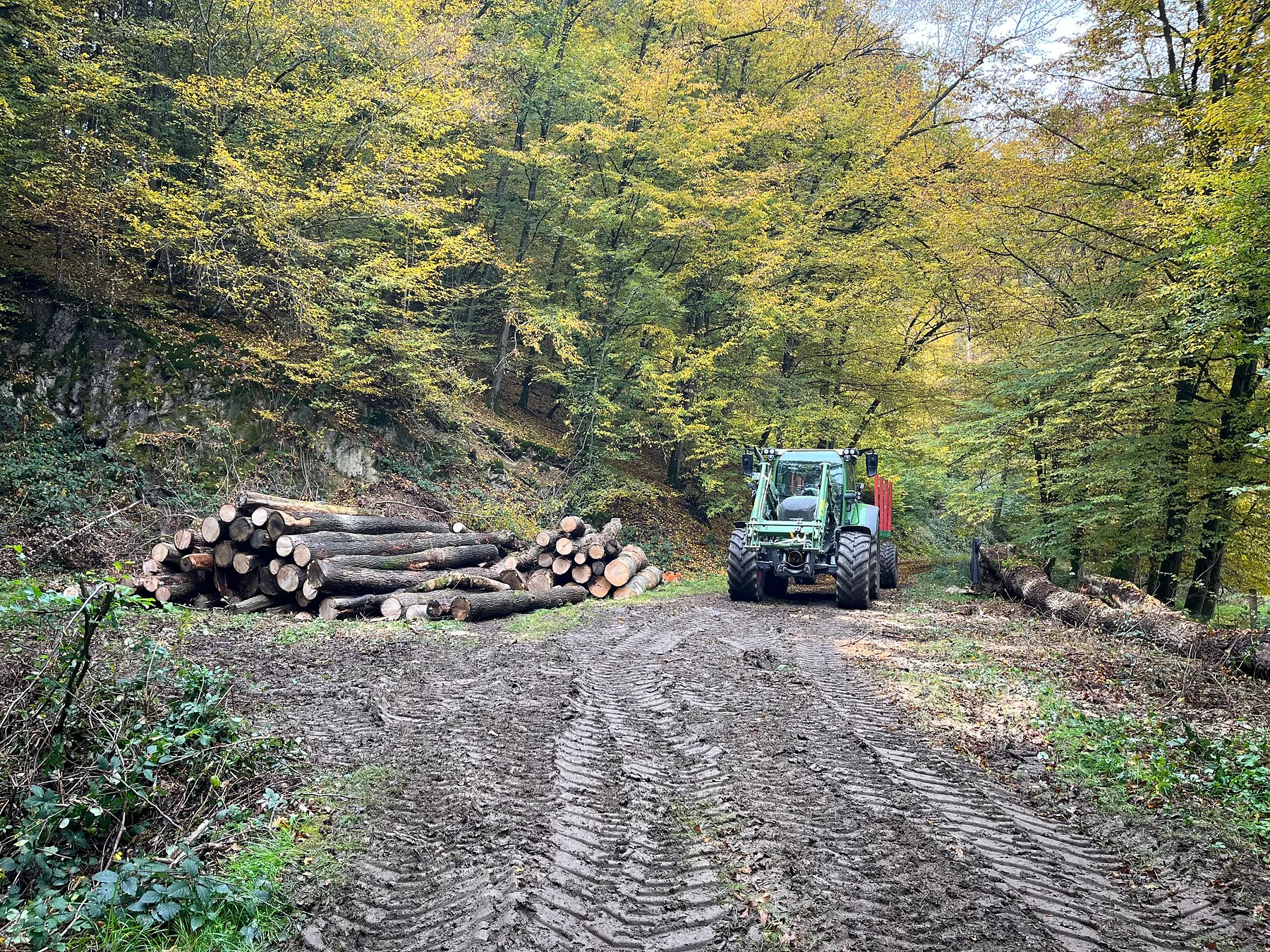 Forstarbeiten mit Traktor und Rückewagen